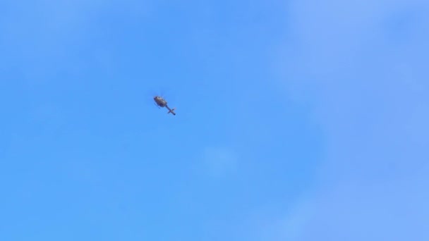 Weißer Hubschrauber fliegt gegen den blauen Himmel — Stockvideo