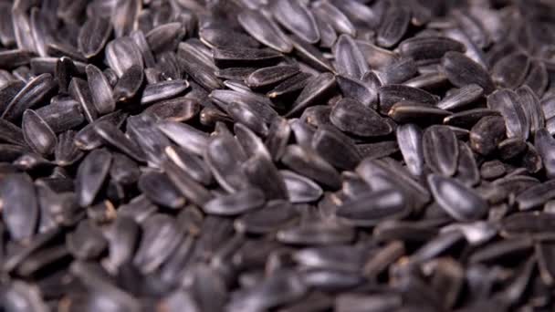 Sunflower seeds fried with salt movement in the frame — Stock Video