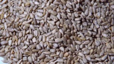 Çiğ ayçiçeği çekirdekleri. Kabuklu ayçekirdeği.