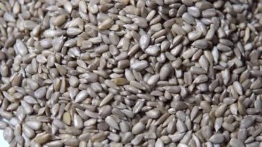 Çiğ ayçiçeği çekirdekleri. Kabuklu ayçekirdeği.