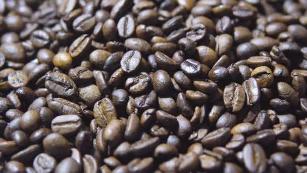 Rostade bönor av nybryggt kaffe i rörelse — Stockvideo