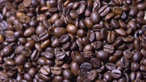 Roasted Beans Fresh Coffee Motion — Stock Video