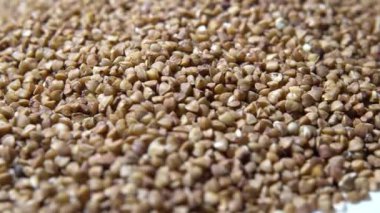 Dönen Ham buğday yakın çekim 4k