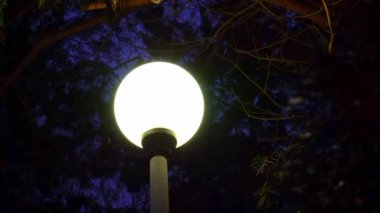 gece yağan kar arka plan üzerinde kış havalarda sokak lambası