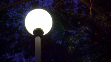 gece yağan kar arka plan üzerinde kış havalarda sokak lambası