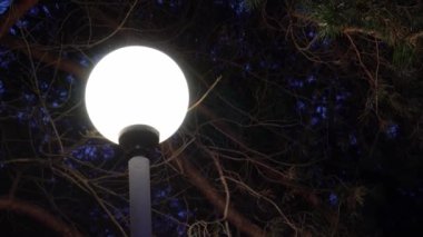 gece yağan kar arka plan üzerinde kış havalarda sokak lambası