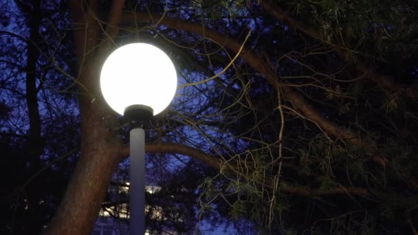 Lampadaire la nuit par temps hivernal sur fond de neige tombante — Video