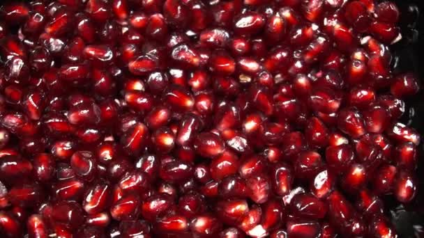 Slow Rotation Fresh Red Pomegranate Seeds — Stock Video