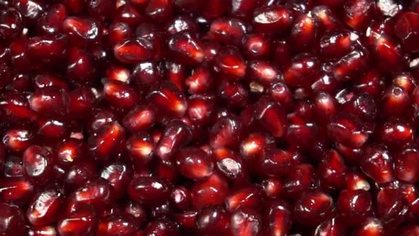 Slow rotation of fresh red pomegranate seeds — Stock Video