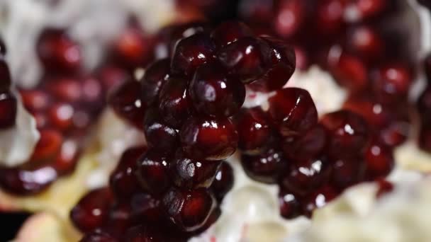 Slow rotation of fresh red pomegranate seeds — Stock Video