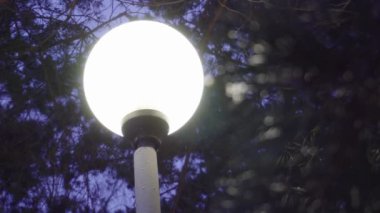 gece yağan kar arka plan üzerinde kış havalarda sokak lambası