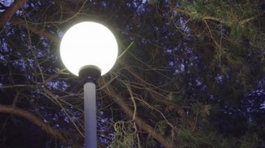 gece yağan kar arka plan üzerinde kış havalarda sokak lambası