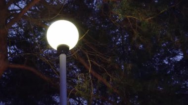 gece yağan kar arka plan üzerinde kış havalarda sokak lambası