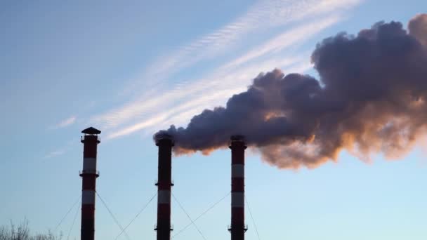 Air pollution from industrial plant pipes — Stock Video