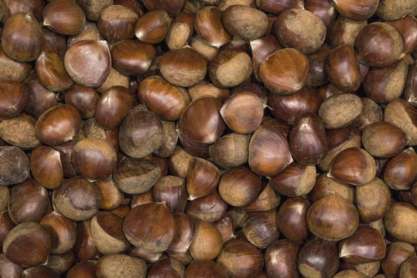 arka plan olgun kahverengi fındık süpermarket