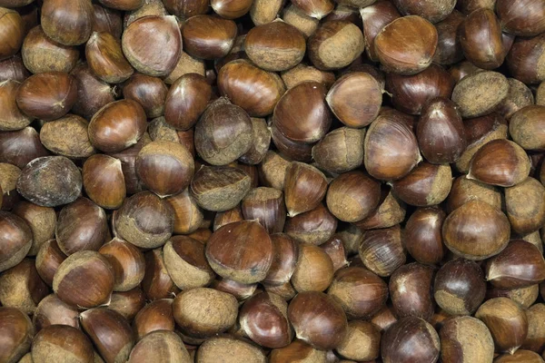 arka plan olgun kahverengi fındık süpermarket