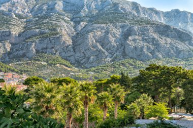 Dağlar ve palmiye ağaçları dibinde Hırvatistan görünümü