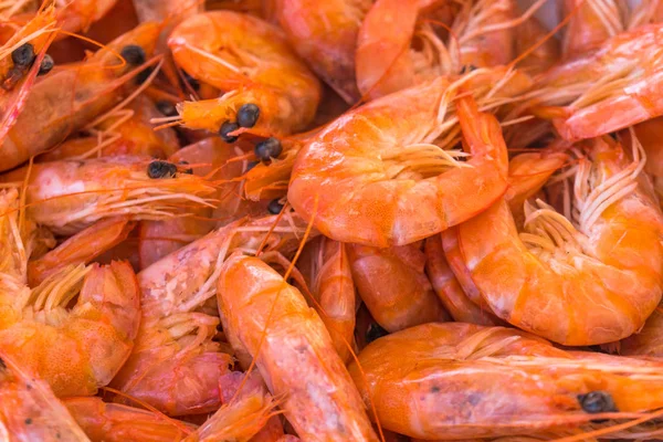 Grote rode mediterrane garnalen gekookt eten — Stockfoto