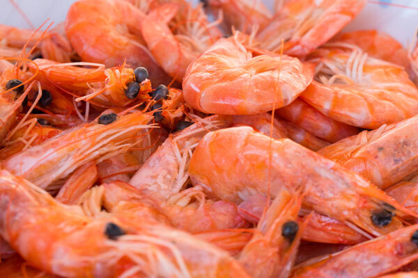large red Mediterranean shrimp cooked for dinner