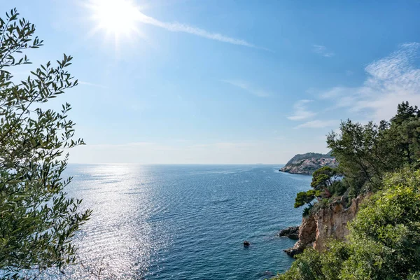 Güneş ve yeşil çam ağaçları ile Adriyatik Denizi 'nin güzel Plajı