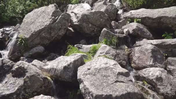 Berg waterval in de Poolse Tatras — Stockvideo