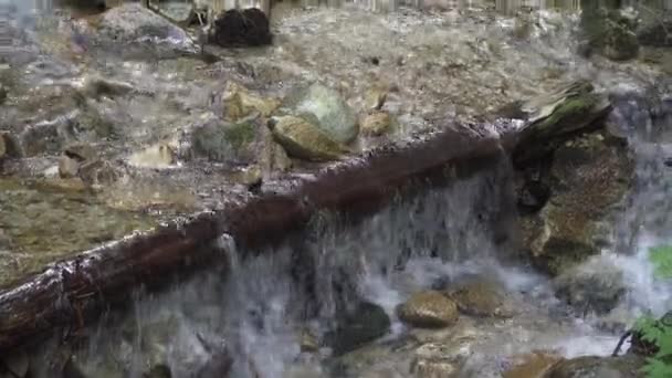 Kristalhelder water in een bergbeek — Stockvideo