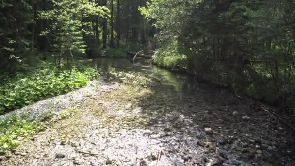 Verkeer van water in een berg rivier — Stockvideo