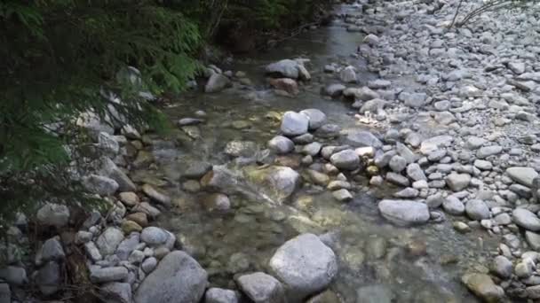 Verkeer van water in een berg rivier — Stockvideo