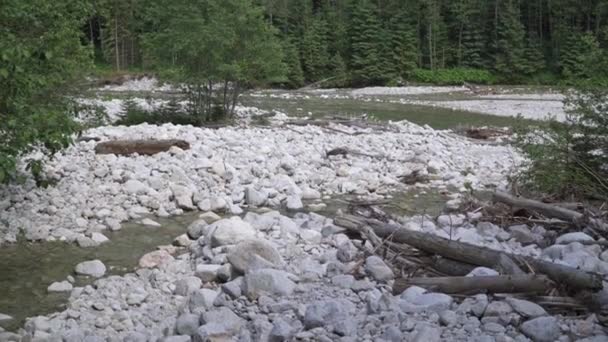 Inzoomen. Verkeer van water in een berg rivier — Stockvideo