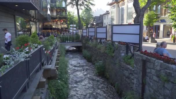 Zakopane, Polen Juni 2019. Gebirgsfluss in der Stadt — Stockvideo