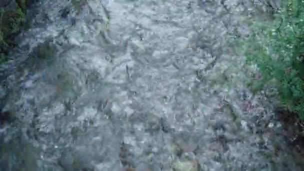 Кристально чистая вода в горном ручье — стоковое видео
