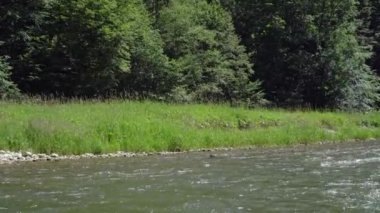 orman nehri üzerinde teknelerden plaj görünümü