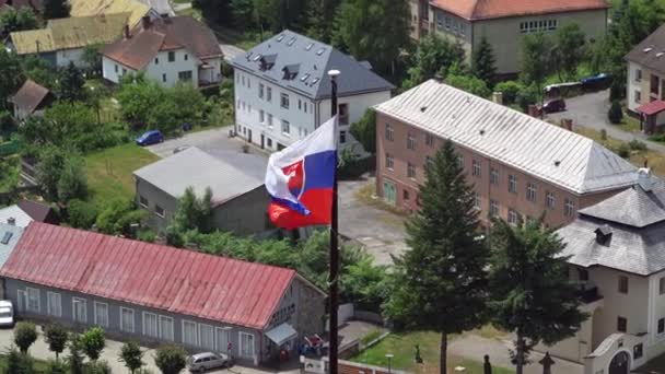 Bandera de Eslovaquia ondea en el viento — Vídeo de stock