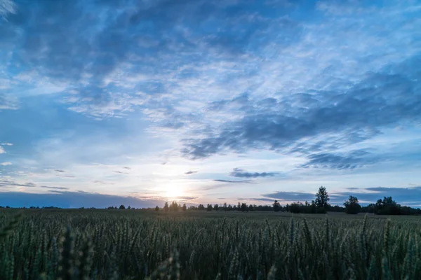 Por do sol no campo sobre o campo — Fotografia de Stock