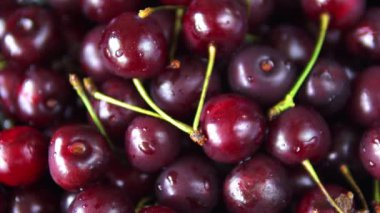 Kırmızı olgun kiraz meyveyakın çekim