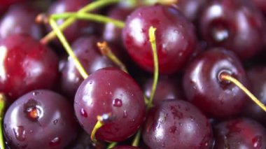 Kırmızı olgun kiraz meyvesinin yakın çekim rotasyonu