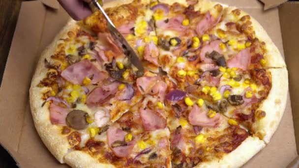 Close-up de corte de pizza em pedaços — Vídeo de Stock