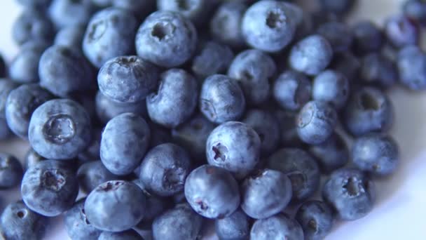 Reife große Blaubeeren in Großaufnahme auf dem Tisch — Stockvideo