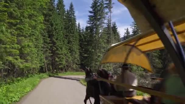 Polonia Zakopane junio 2019. Parque Nacional Tatra. Carruaje tradicional tirado por caballos lleva a los turistas en un camino de montaña — Vídeos de Stock