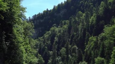 Tatra dağlarının nehir trafik görünümü