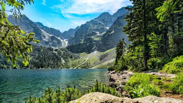 Bellissimo lago di montagna in estate — Foto Stock