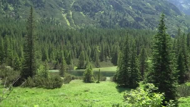 Vista sulla valle del fiume di montagna tra i monti Tatra — Video Stock