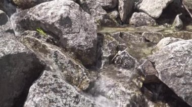 Polonya Tatras dağ dere