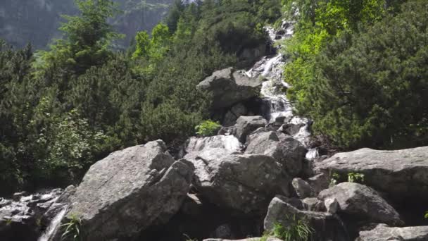 Berg waterval in de Poolse Tatras — Stockvideo