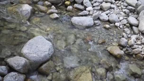 Kristallklares Wasser in einem Gebirgsbach — Stockvideo