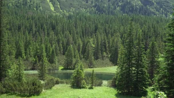 Widok na dolinę górskiej rzeki w Tatrach — Wideo stockowe