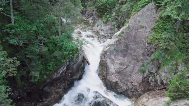 山河中的水的运动 — 图库视频影像