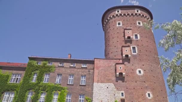 Belas torres da catedral da cidade. Arquitetura antiga de Cracóvia Polónia — Vídeo de Stock