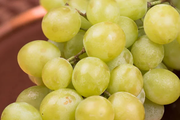 Uvas verdes frescas de cerca —  Fotos de Stock