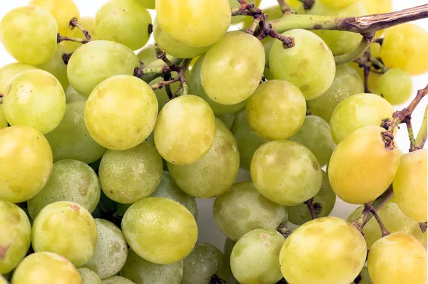 Uvas verdes frescas close up — Fotografia de Stock